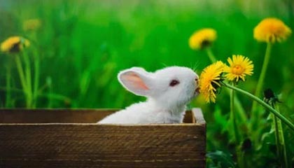 开云体育下载网址-足球电子竞技联赛启动线上选拔通道，足协举办电竞足球队选拔