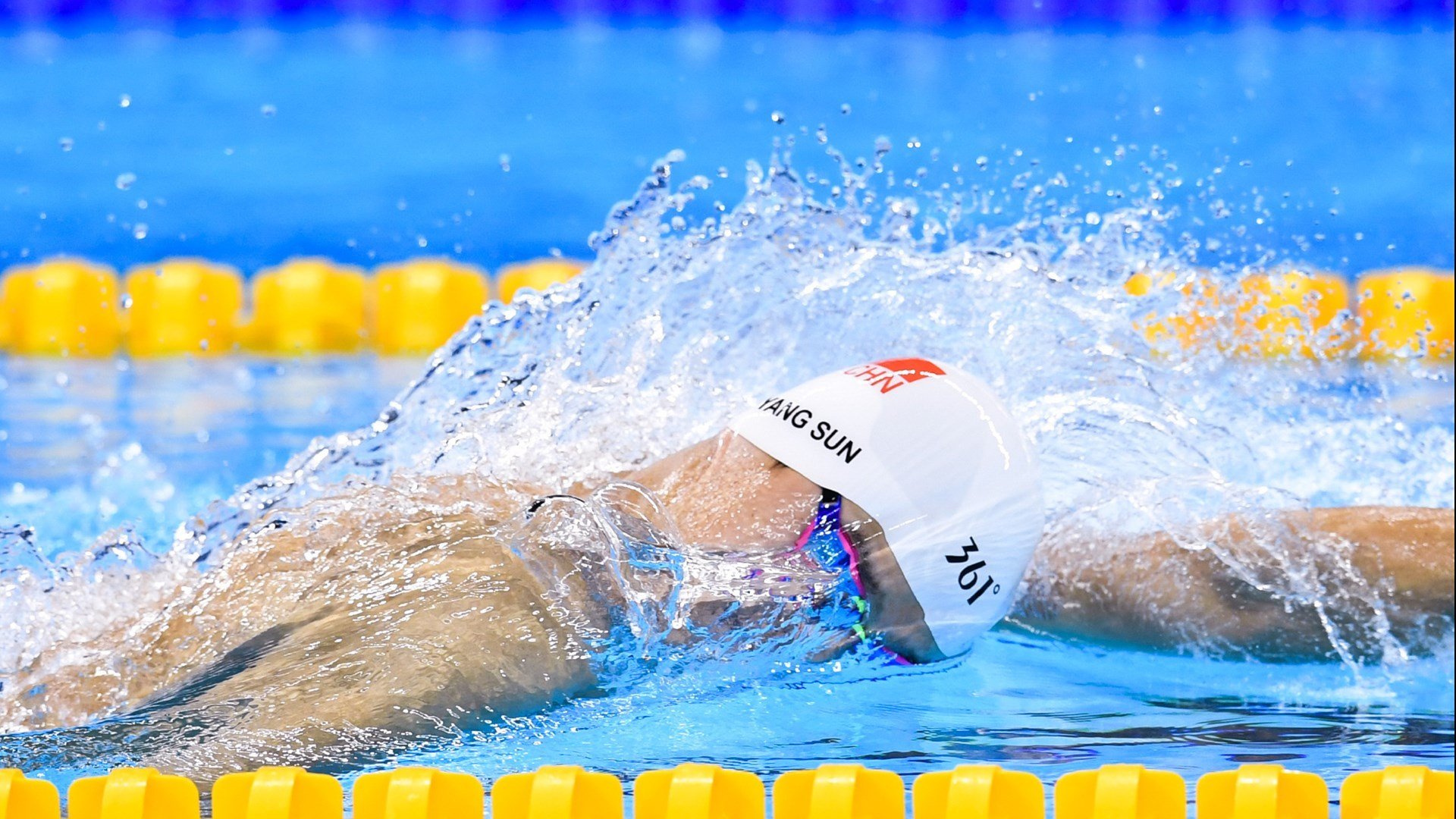 生命中的篮球：运动员背后的故事与梦想，篮球运动员的盛宴